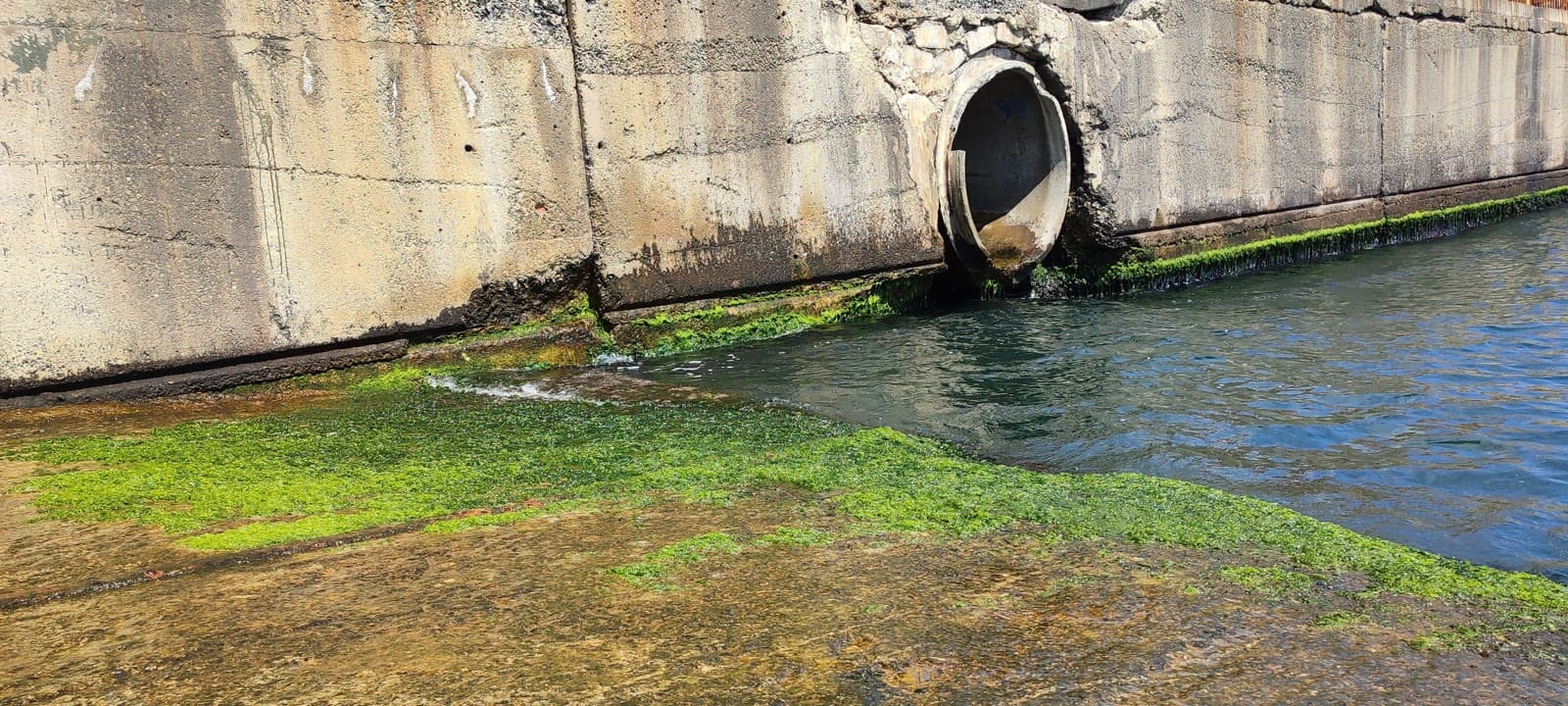 Nutrients